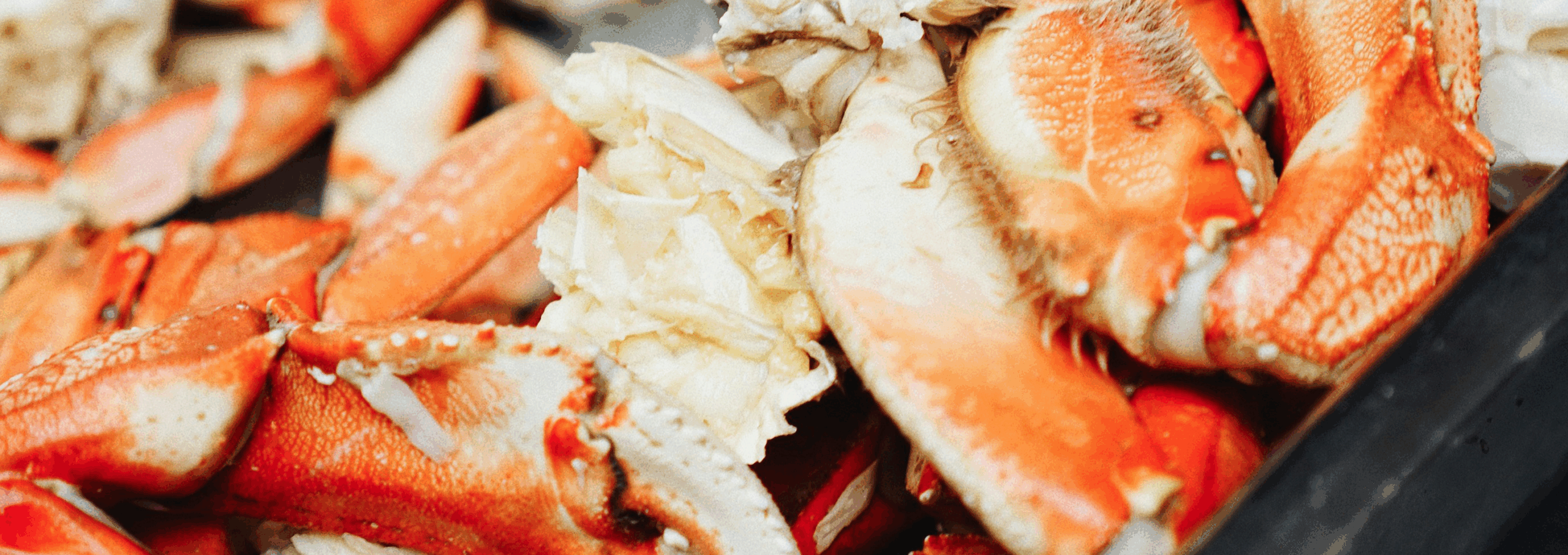 Eurofins Electrical & Electronics Compliance Seminar & Crab Feast 2025